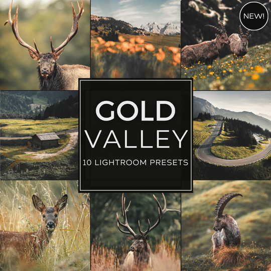 Gold Valley LIMITED Lightroom Presets Pack