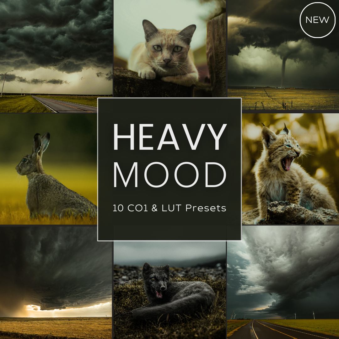 Heavy Mood LIMITED Capture One & LUT Presets Pack