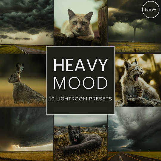 Moody Land LIMITIERTES Lightroom-Presets-Paket