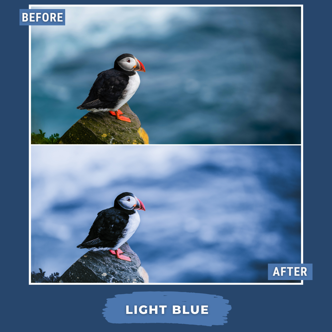 Master Collection Bundle 540 Lightroom Presets Autumn