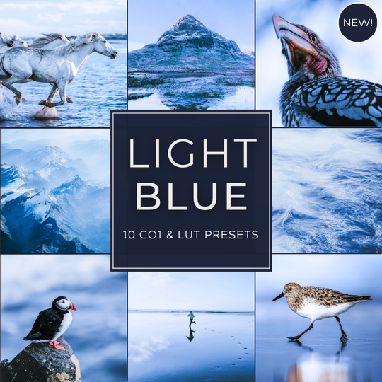 Mono Fall LIMITIERTES Lightroom-Presets-Paket