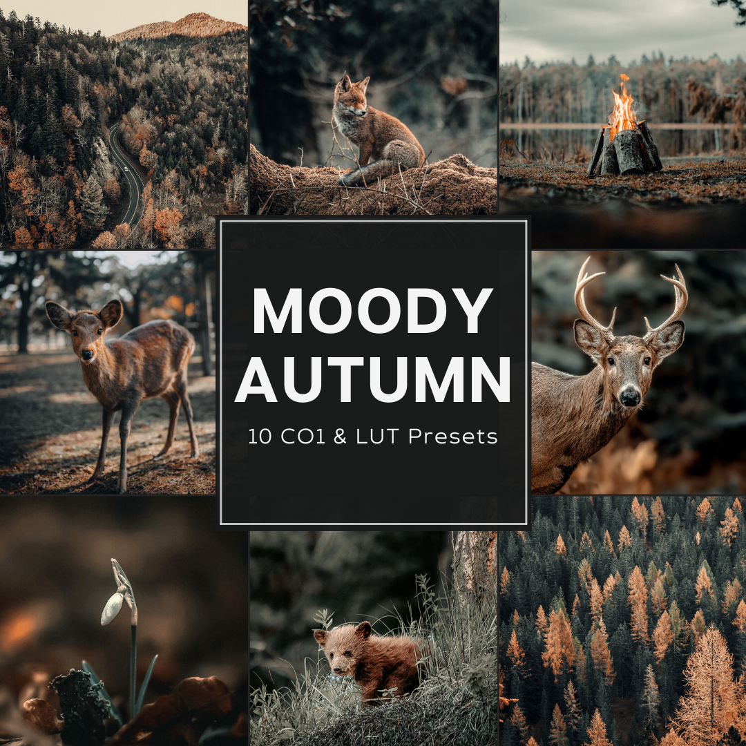 Moody Autumn Capture One & LUT Presets Pack