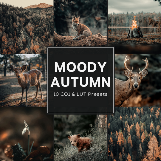 Moody Autumn Capture One & LUT Presets Pack