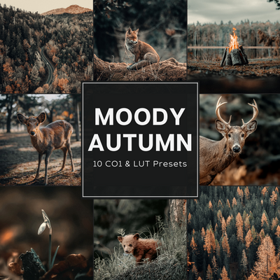 Moody Autumn LIMITED Capture One & LUT Presets Pack