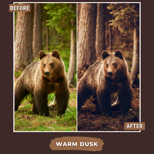 Master Collection Bundle 540 Lightroom Presets Autumn