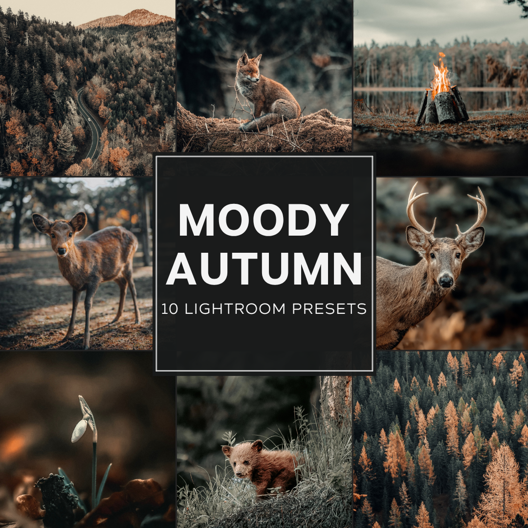 Moody Autumn Lightroom Presets Pack