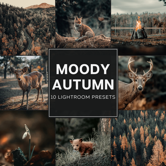 Moody Autumn LIMITIERTES Lightroom-Presets-Paket