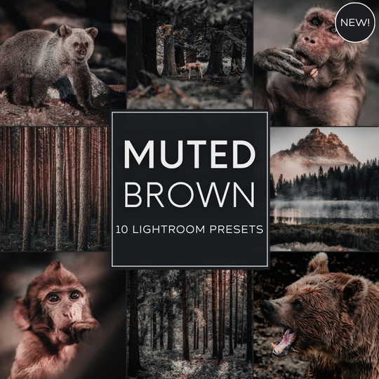 Muted Brown LIMITED Lightroom Presets Pack