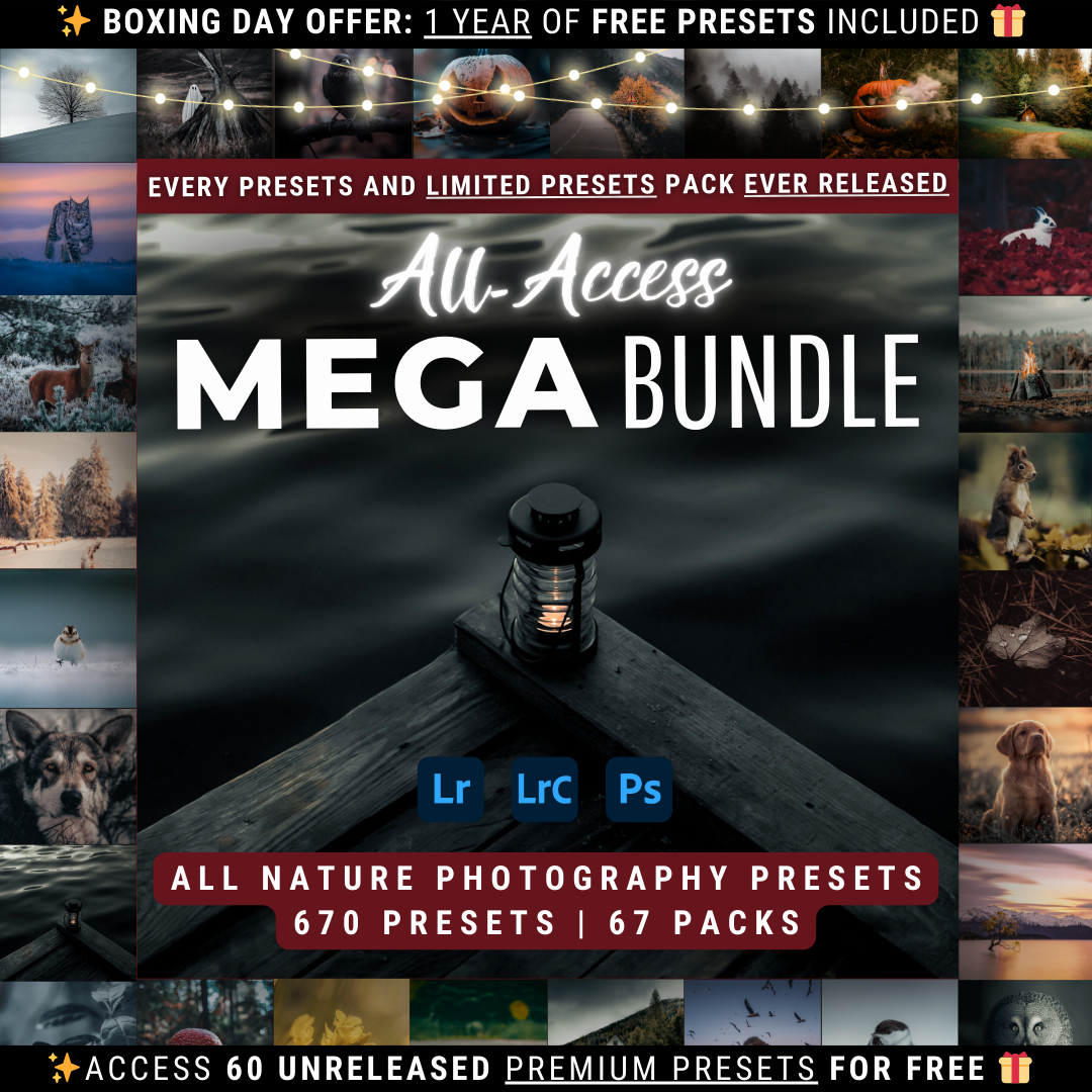 Mega Bundle 660 Lightroom-Presets