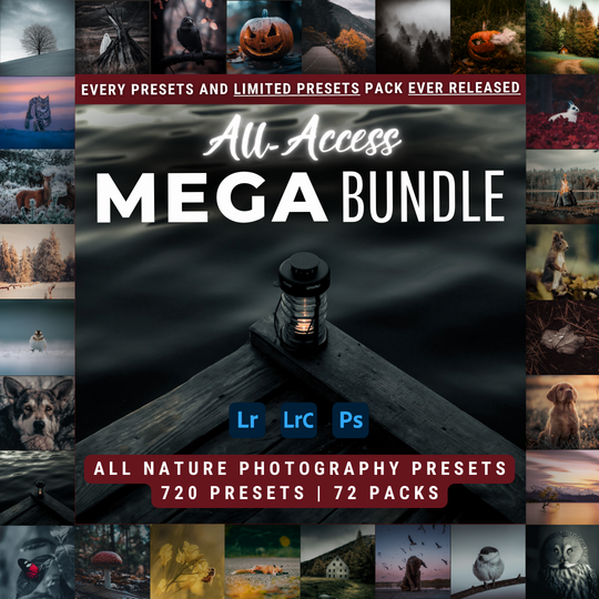 Mega Bundle 720 Lightroom Presets