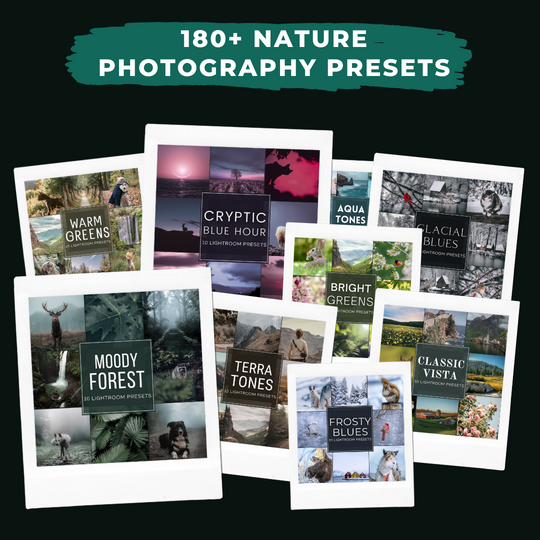 Master Collection Bundle 440 Lightroom Presets