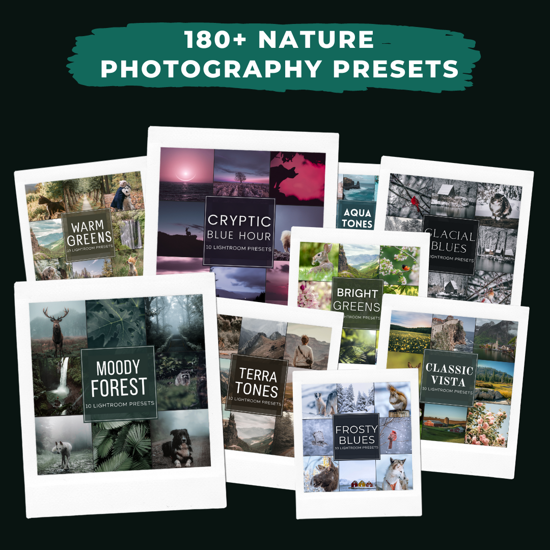 Master Collection Bundle 490 Lightroom Presets Summer