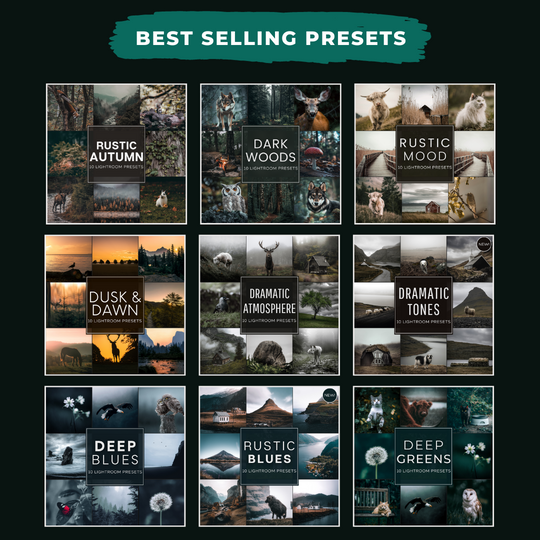 Master Collection Bundle 590 Lightroom Presets + 76 Bonus AI Spooky Presets