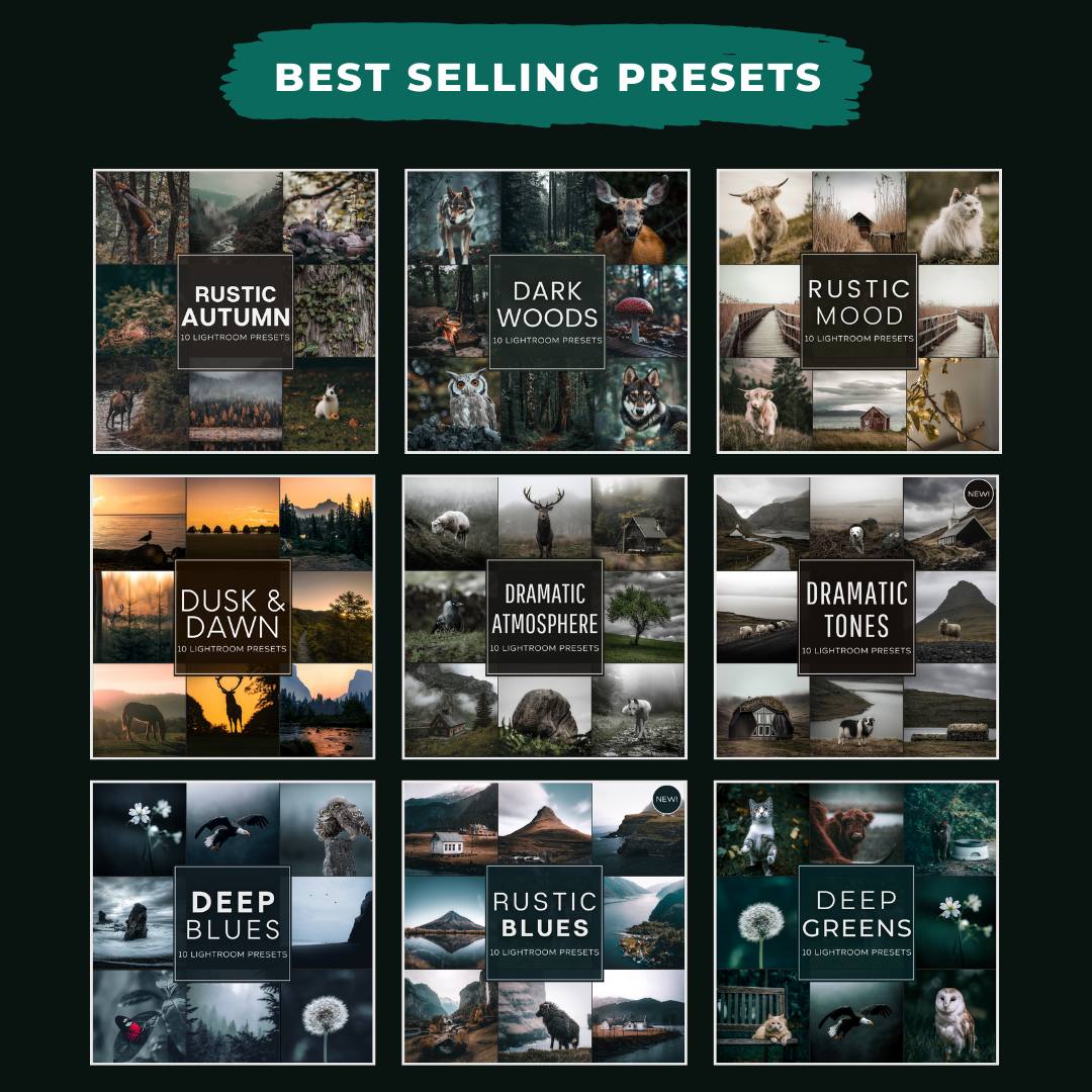 Master Collection Bundle 390 Lightroom Presets