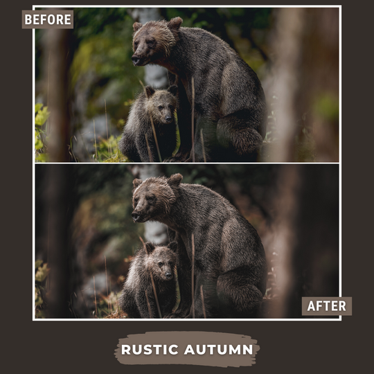 Master Collection Bundle 490 Lightroom Presets Summer