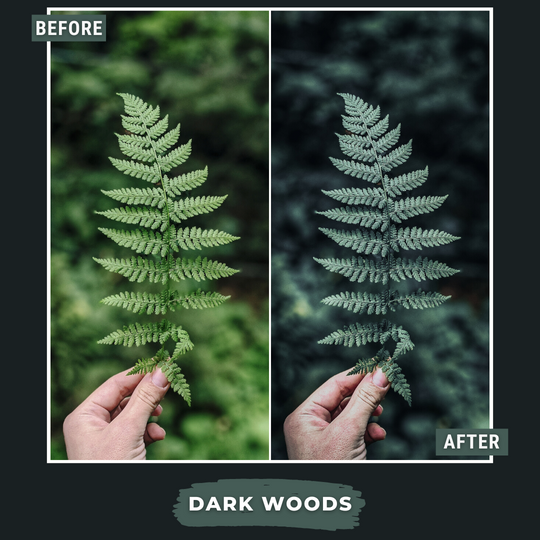 Master Collection Bundle 490 Lightroom Presets Summer