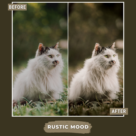 Master Collection Bundle 490 Lightroom Presets Summer