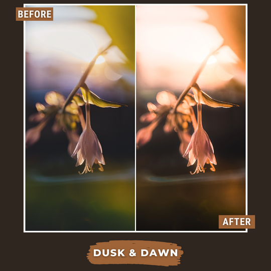 Master Collection Bundle 490 Lightroom Presets Summer