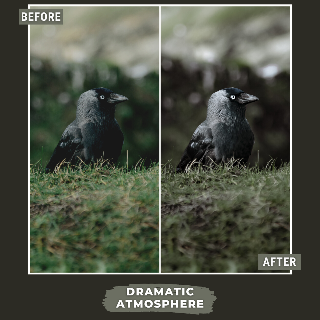 Master Collection Bundle 490 Lightroom Presets Summer