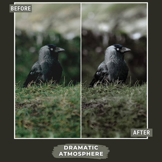 Master Collection Bundle 490 Lightroom Presets Summer
