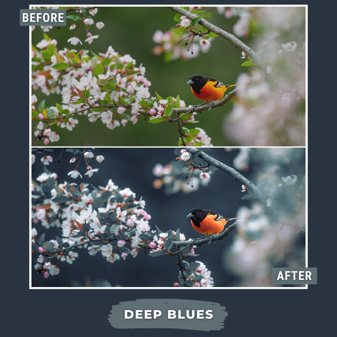 Master Collection Bundle 390 Lightroom Presets