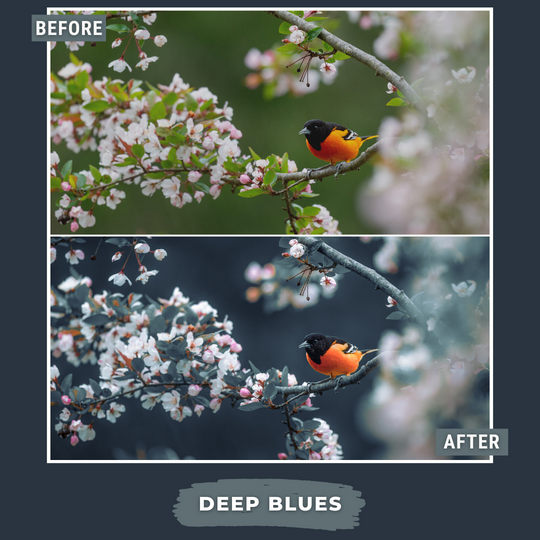 Master Collection Bundle 490 Lightroom Presets Summer