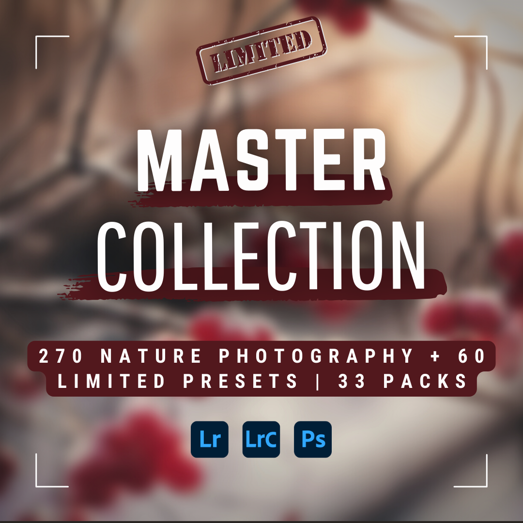 Master Collection Bundle 330 Lightroom Presets