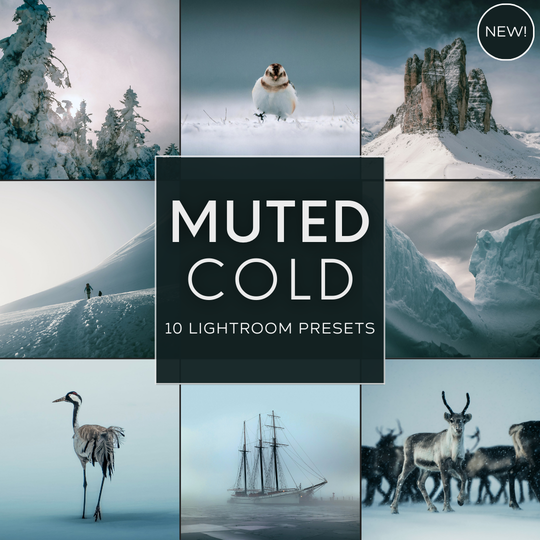 Muted Cold LIMITED Lightroom Presets Pack