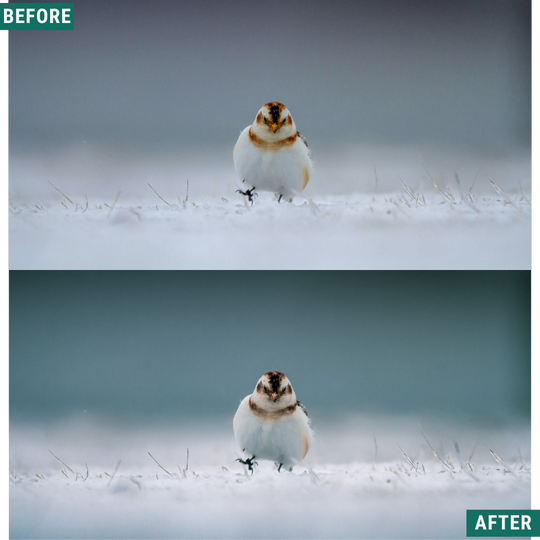 Muted Cold LIMITIERTES Lightroom-Presets-Paket