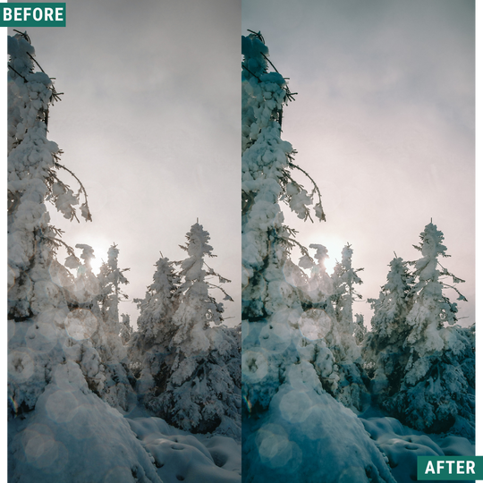 Muted Cold LIMITED Lightroom Presets Pack