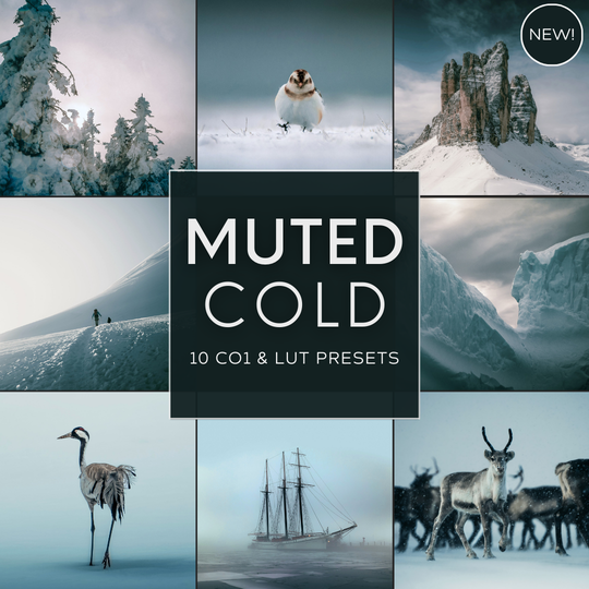 Muted Cold LIMITED Capture One & LUT Presets Pack