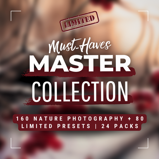 Master Collection Capture One & LUT Presets Bundle Winter