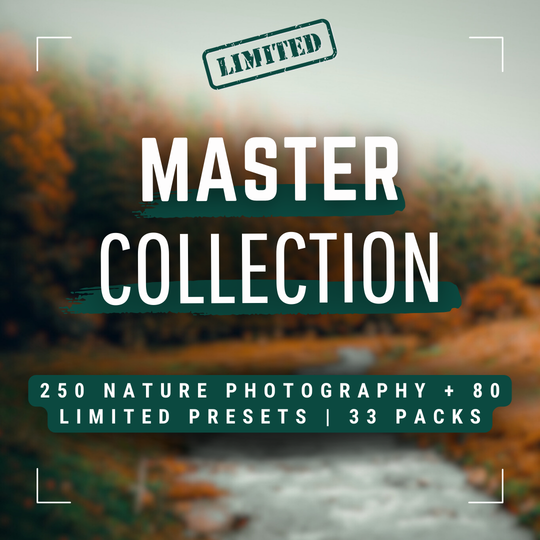 Master Collection Capture One & LUT Presets Bundle Autumn