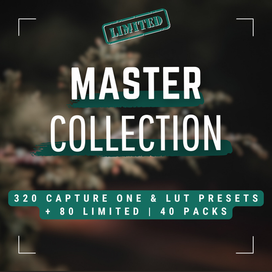 Master Collection Capture One & LUT Presets Bundle Winter