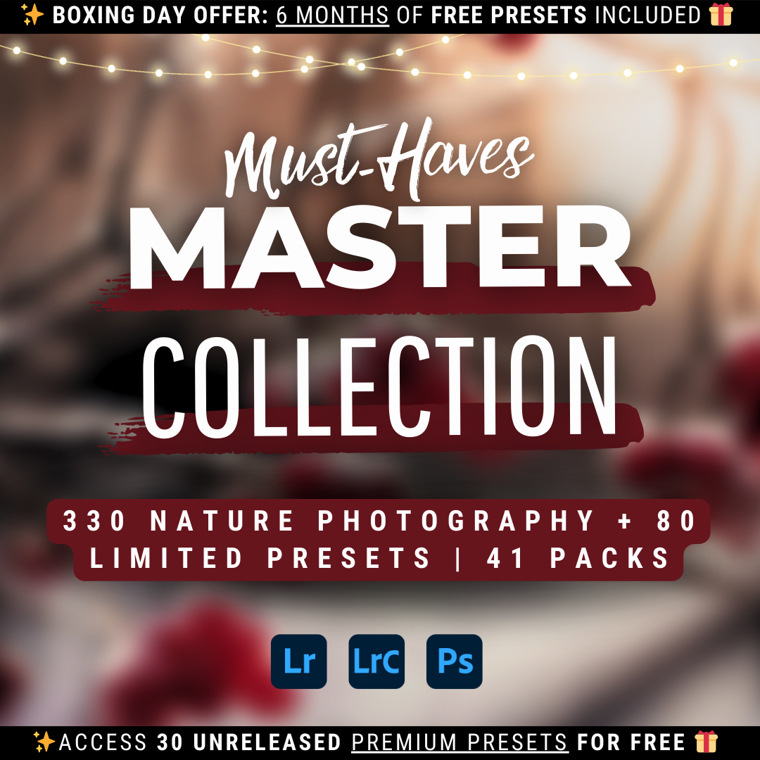 Master Collection Bundle 410 Lightroom Presets Winter