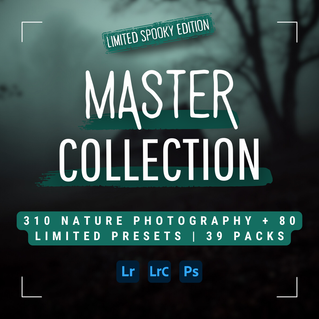 Master Collection Bundle 390 Lightroom Presets