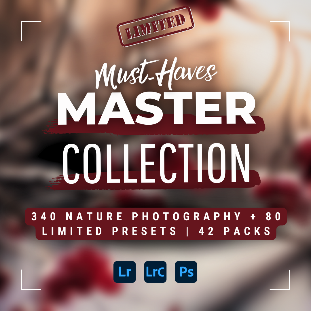 Master Collection Bundle 420 Lightroom Presets Winter