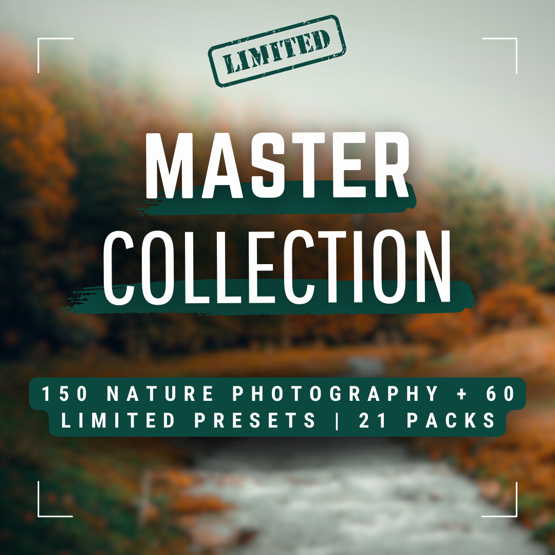 Master Collection Capture One & LUT Presets Bundle Herbst