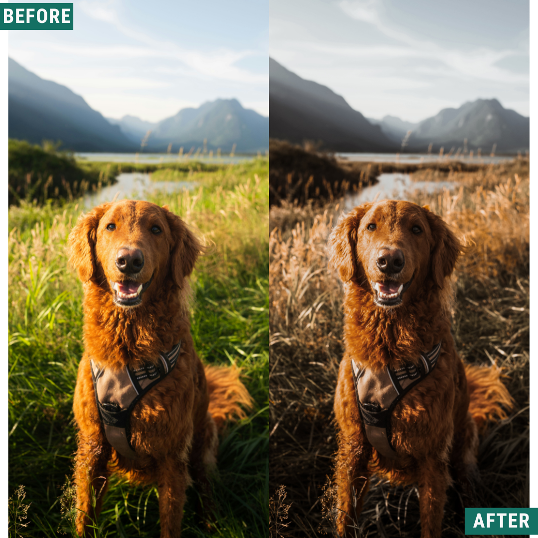 Muted Mood Lightroom Presets Pack