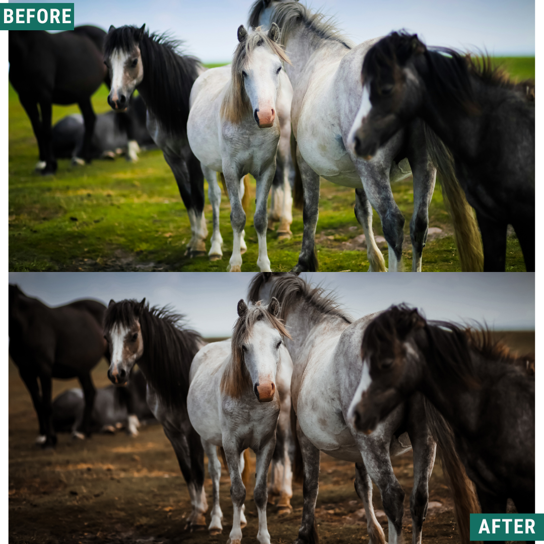 Muted Mood Lightroom Presets Pack