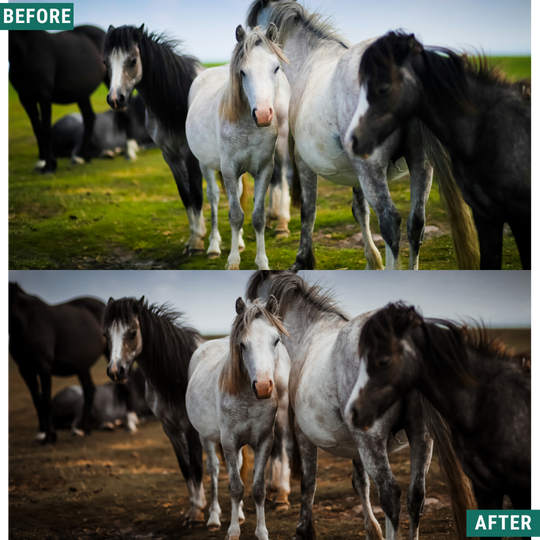 Muted Mood Lightroom Presets Pack