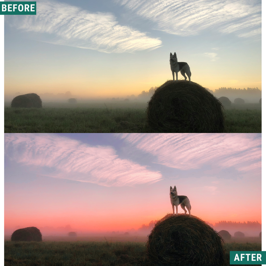 Misty Dawn LIMITED Capture One & LUT Presets Pack