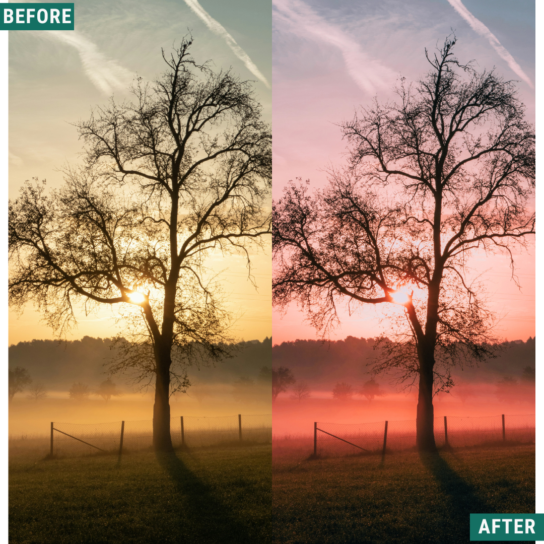 Rose Hour LIMITIERTES Lightroom-Presets-Paket