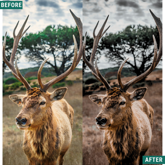 Muted Mood Lightroom Presets Pack