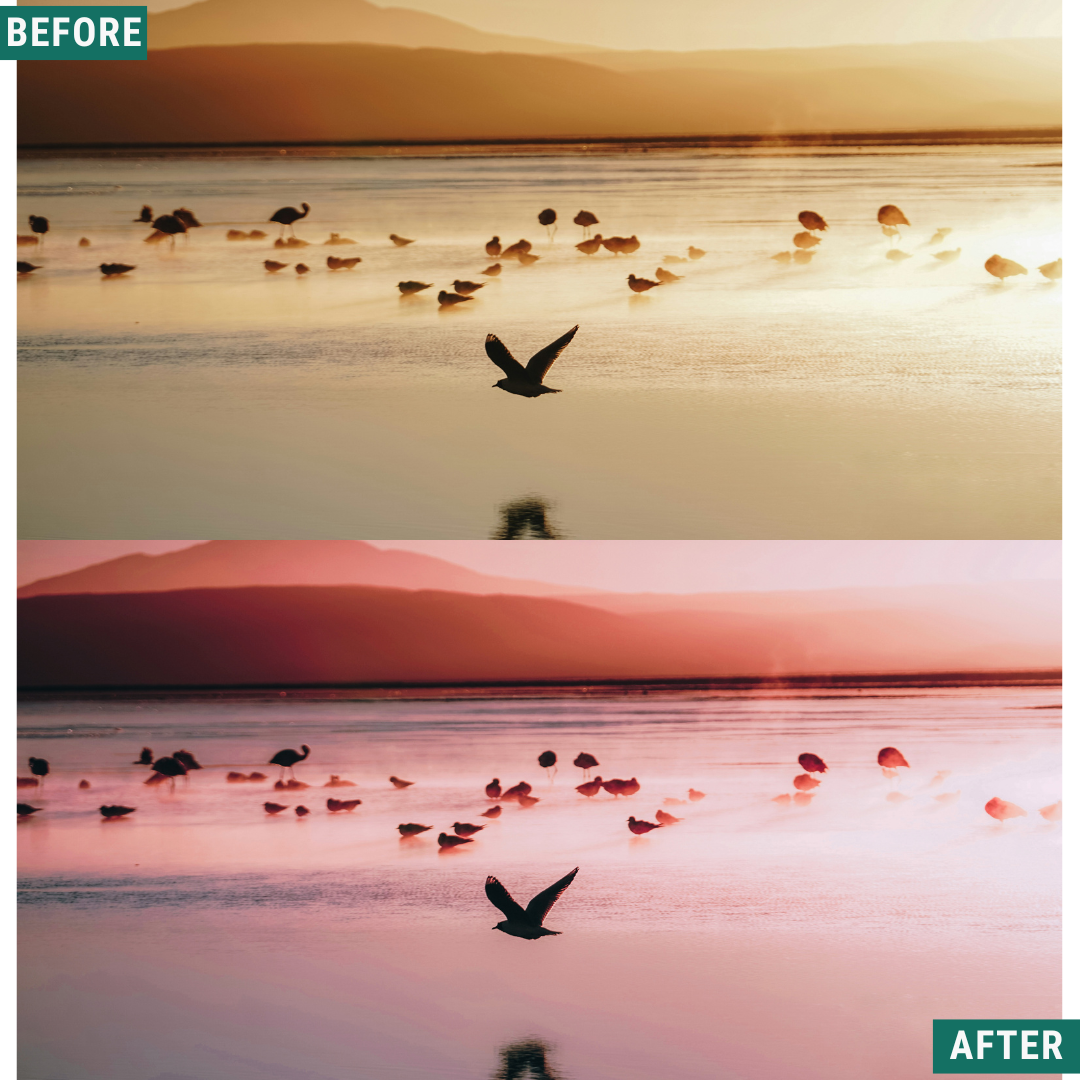 Rose Hour LIMITIERTES Lightroom-Presets-Paket