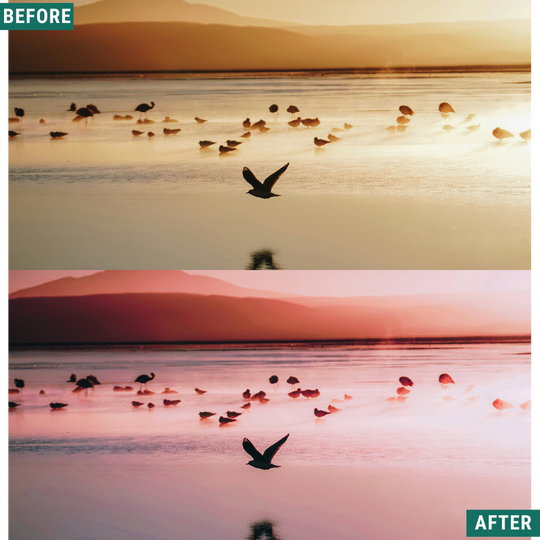 Rose Hour LIMITIERTES Lightroom-Presets-Paket