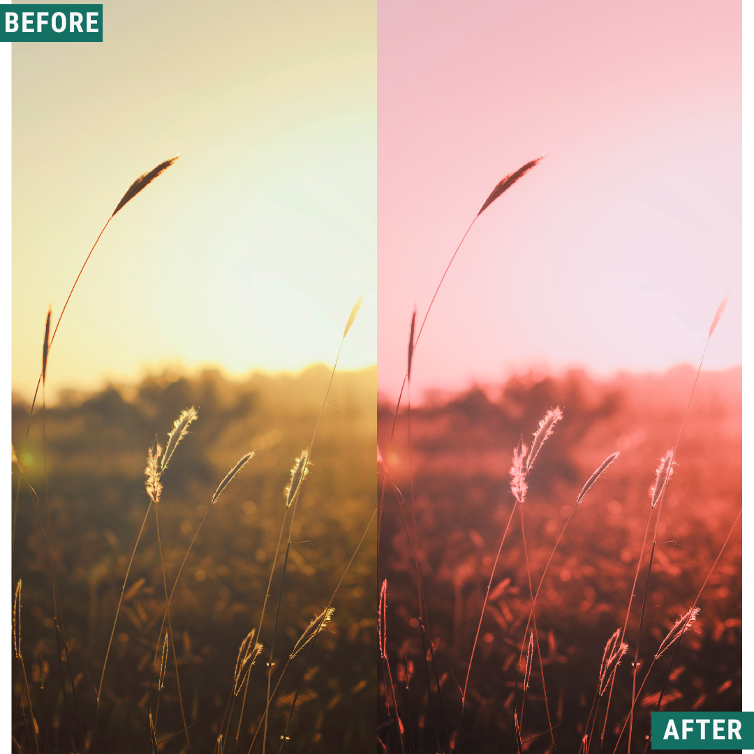 Rose Hour LIMITIERTES Lightroom-Presets-Paket