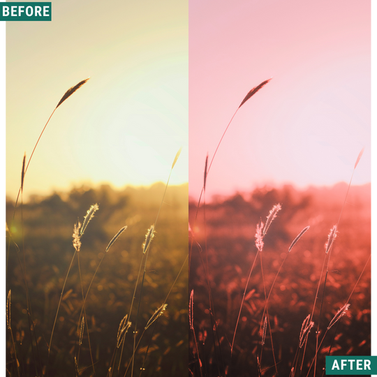 Rose Hour LIMITIERTES Lightroom-Presets-Paket