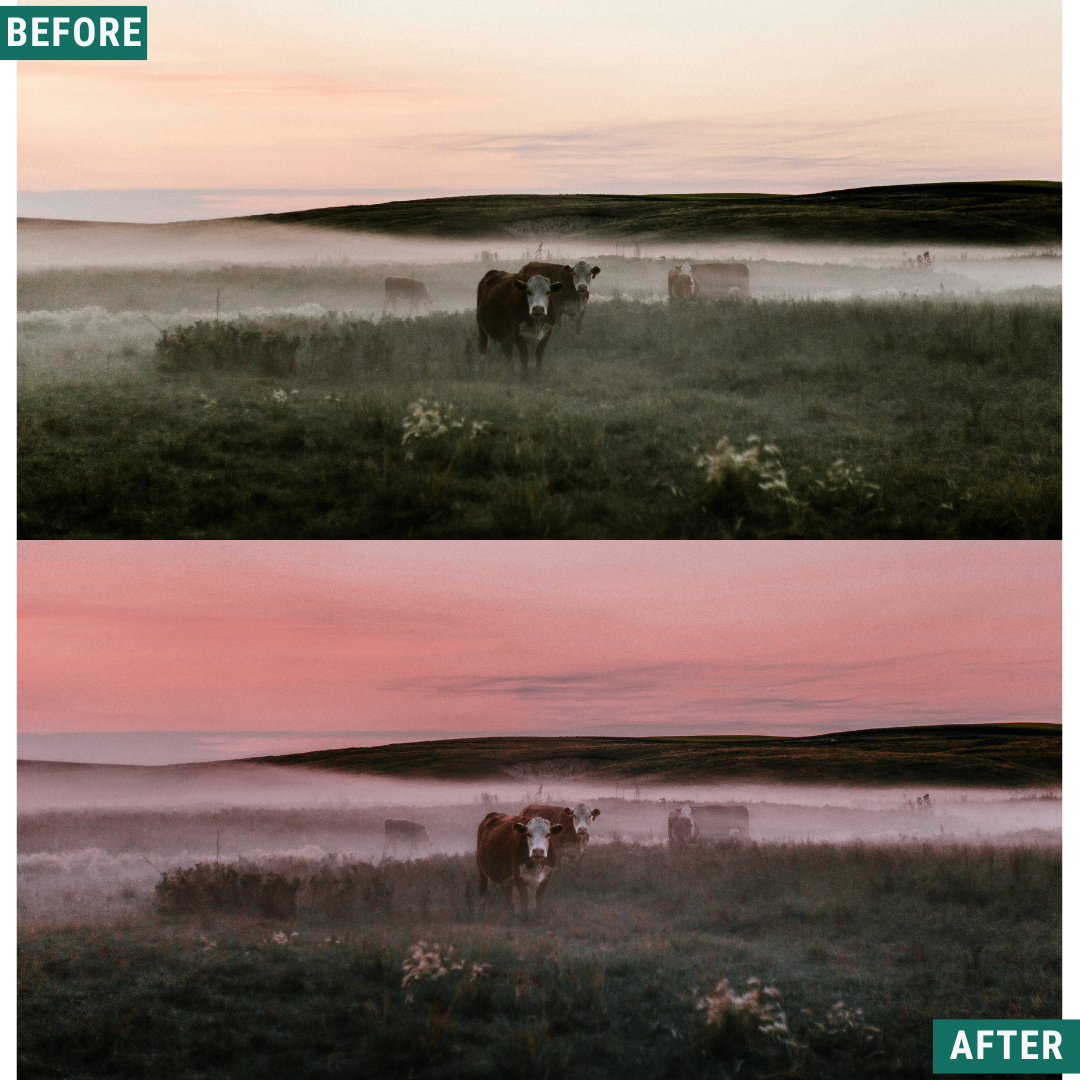 Rose Hour LIMITIERTES Lightroom-Presets-Paket