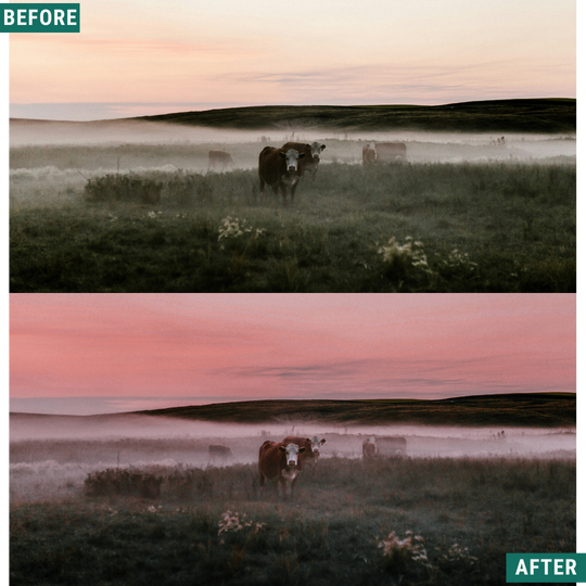 Rose Hour LIMITIERTES Lightroom-Presets-Paket